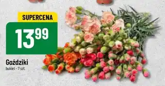 Polomarket Goździki 7 szt. oferta