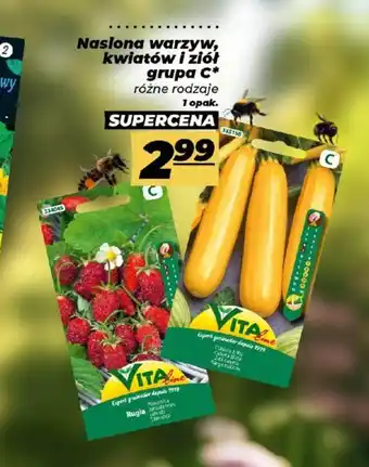 Polomarket Nasiona warzyw, kwiatów i ziół grupa c oferta