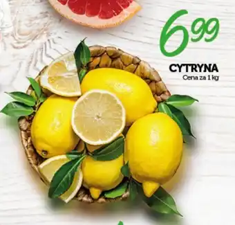 Topaz CYTRYNA 1 kg oferta