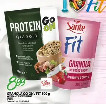 GRANOLA GO ON/FIT SANTE 300 g