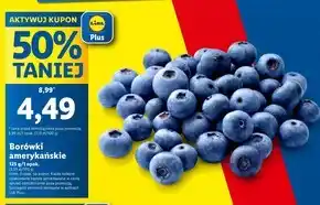 Lidl Borówki amerykańskie oferta