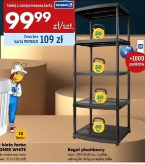 Mrówka Regał oferta
