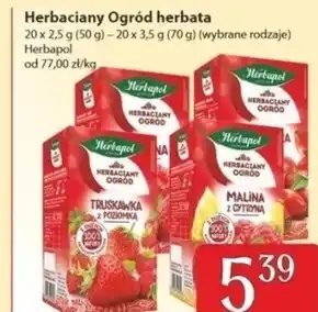 Społem Herbapol Herbaciany Ogród Herbatka owocowo-ziołowa zimowy sekret 60 g (20 x 3 g) oferta