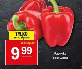 Gram Market Papryka oferta
