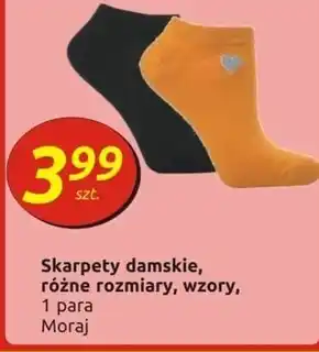 Społem Skarpety damskie Moraj oferta