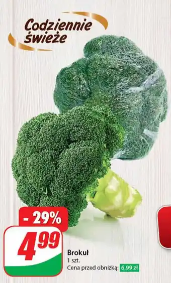 Dino Brokuł 1 sztuka oferta