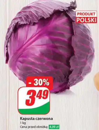 Dino Kapusta czerwona 1 kg oferta