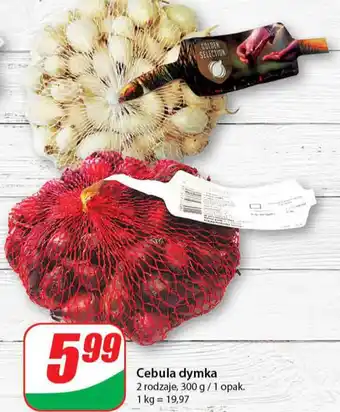 Dino Cebula dymka 300 g oferta