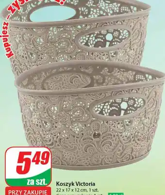 Dino Koszyk Victoria oferta