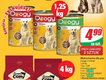 Dino Doogy Mokra karma dla psa oferta