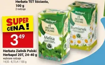Twój Market Herbata Zielnik Polski Herbapol 20T 24-40 g oferta