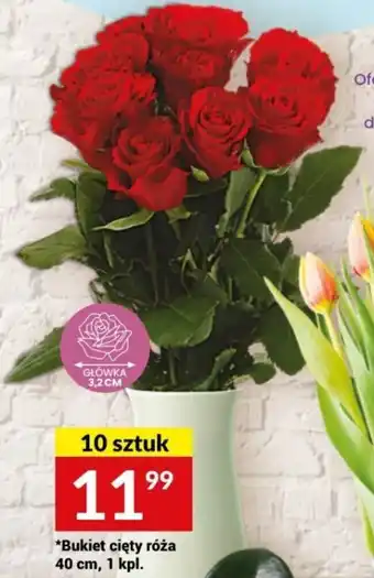 Twój Market Bukiet cięty róża 40 cm, 1 kpl. oferta