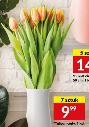Twój Market Tulipan cięty, 1 kpl. oferta