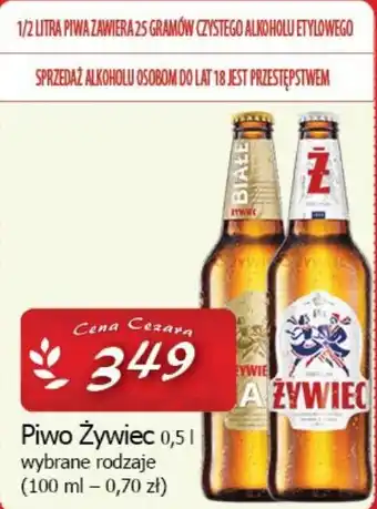 Cezar Delikatesy Piwo Żywiec 0,5 L oferta