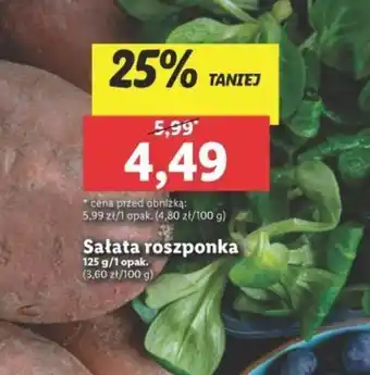 Lidl Sałata roszponka 125 g oferta