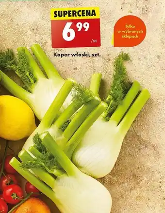 Biedronka Koper włoski, szt. oferta