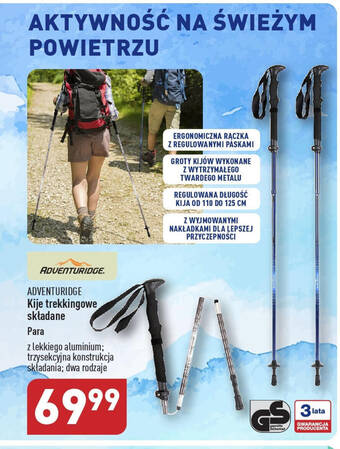 Aldi sales walking poles