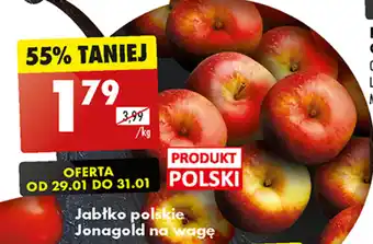 Biedronka Jabłko polskie Jonagold na wagę 1 kg oferta