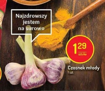 Delikatesy Centrum Czosnek młody 1szt. oferta