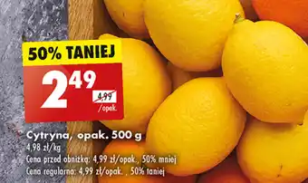 Biedronka Cytryna, opak. 500 g oferta
