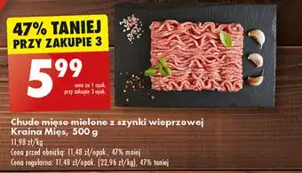 Biedronka Chude mięso mielone z szynki wieprzowej Kraina Mięs, 500 g oferta