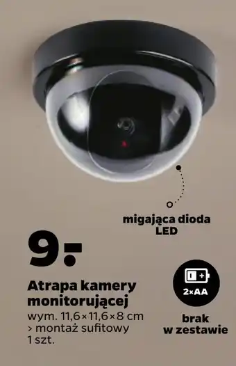 Netto Atrapa kamery oferta