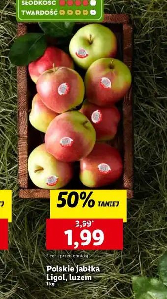 Lidl Jabłka oferta
