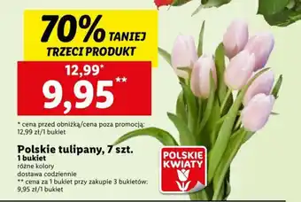 Lidl Polskie tulipany, 7 szt. oferta