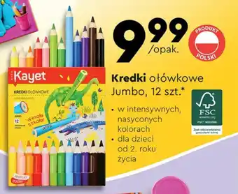 Biedronka Kredki ołówkowe Jumbo, 12 szt. oferta