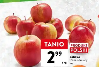 Intermarche Jabłko 1kg oferta