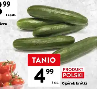 Intermarche Ogórek krótki 1szt. oferta