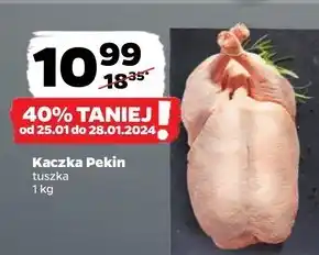 Netto Kaczka oferta