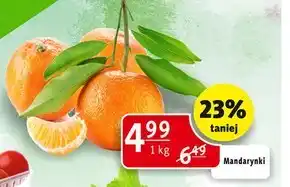 Prim Market Mandarynki oferta