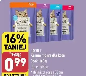 ALDI Mokra karma dla kota Cachet oferta