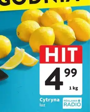 Intermarche Cytryna oferta
