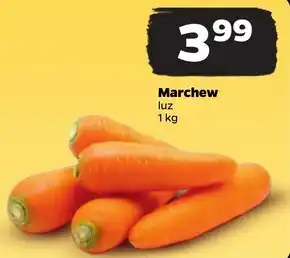 Netto Marchew oferta