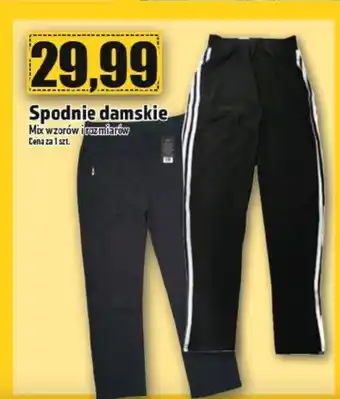 Topaz Spodnie damskie oferta