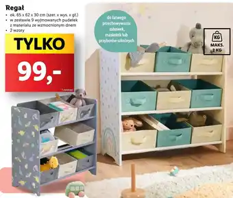 Lidl Regał oferta