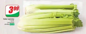 Dino Seler naciowy oferta