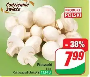 Dino Pieczarki oferta