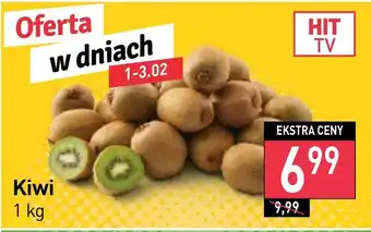 Stokrotka Kiwi oferta