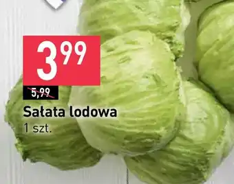 Stokrotka Sałata lodowa oferta