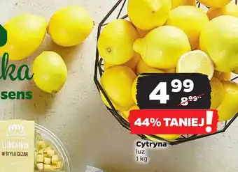 Netto Cytryna oferta