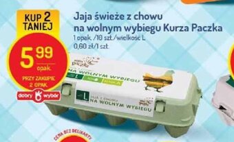 Delikatesy Centrum Jaja świeże z chowu na wolnym wybiegu Kurza Paczka rozm. L 10szt. oferta
