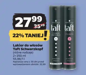 Netto Lakier do włosów Taft Schwarzkopf oferta