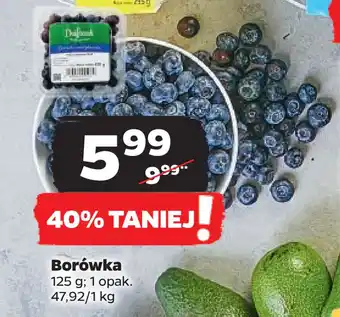 Netto Borówka oferta