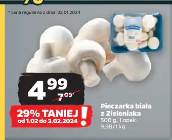 Netto Pieczarka biała z Zieleniaka oferta