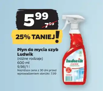 Netto Płyn do mycia szyb Ludwik oferta