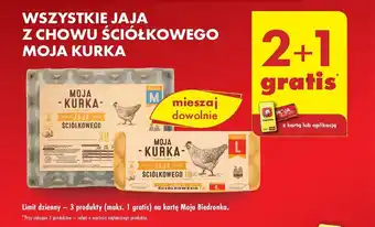 Biedronka WSZYSTKIE JAJA Z CHOWU ŚCIÓŁKOWEGO MOJA KURKA oferta