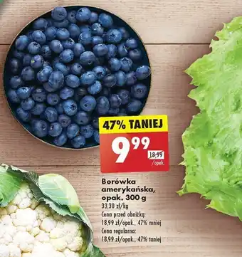 Biedronka Borówka amerykańska, 300 g oferta